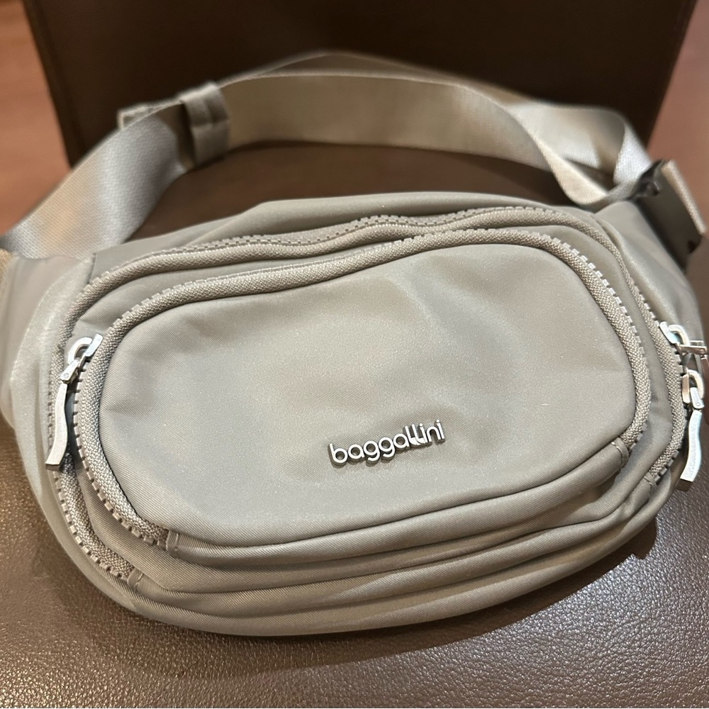 Baggallini Silver Belt Bag